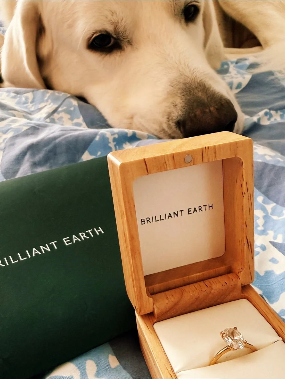 Gorgeous Petite Elodie Diamond Ring / Brilliant Earth
